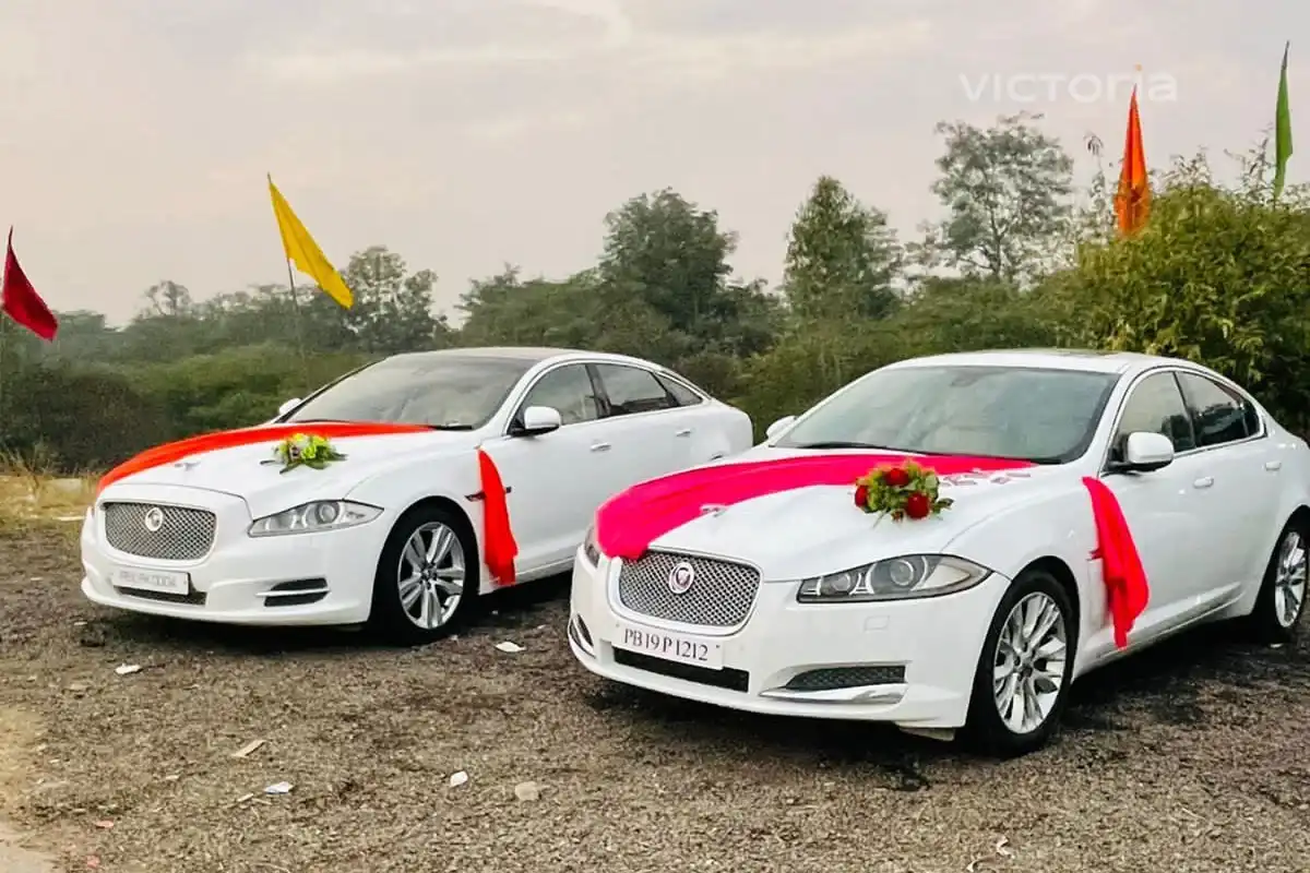 Jaguar Wedding Car Rental